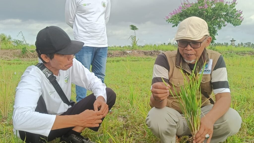 Ketahanan Pangan Dimulai dari Petani, Pegadaian Dorong Pertanian Terpadu di Tabanan